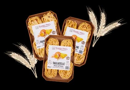 Pasta all'uovo di Camerino