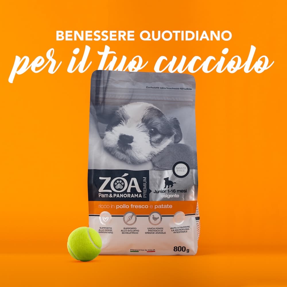 Linea ZOA per cani