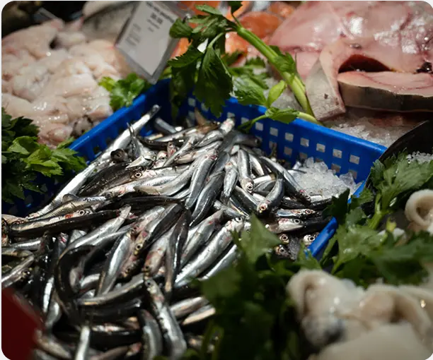 Pescheria slide 12