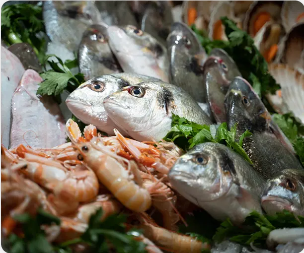 Pescheria slide 6