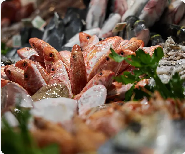 Pescheria slide 8