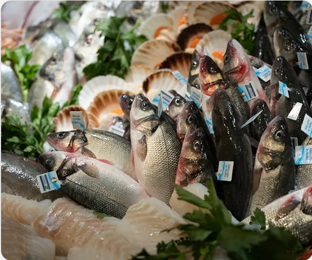 Pescheria slide 9