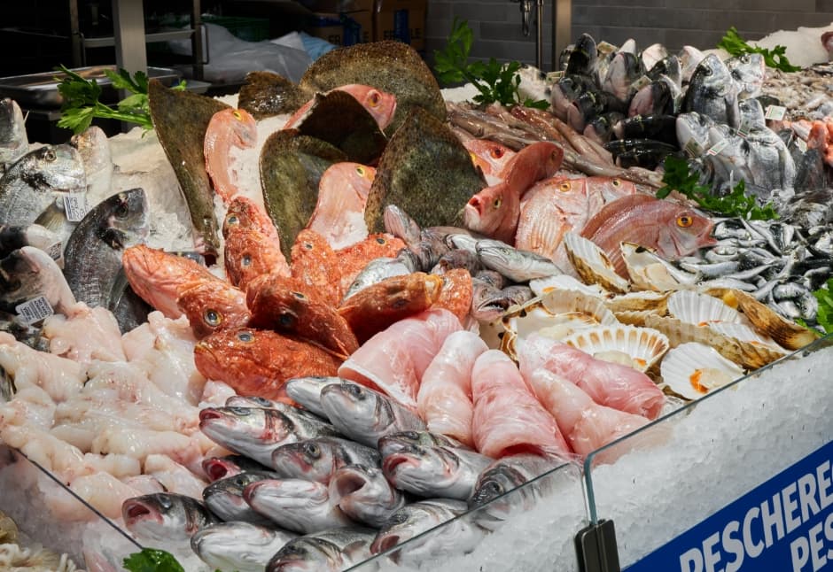 Panorama - immagine 3