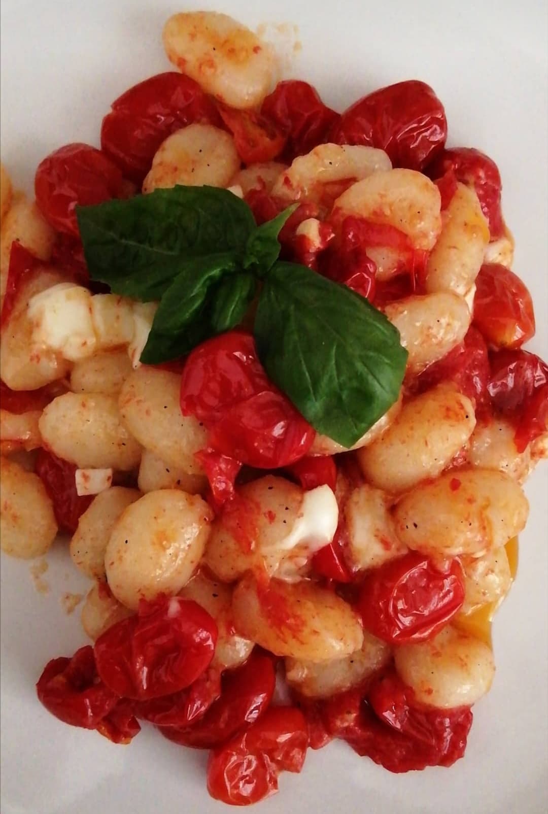 Gnocchi con datterini tonno  basilico e fiordilatte