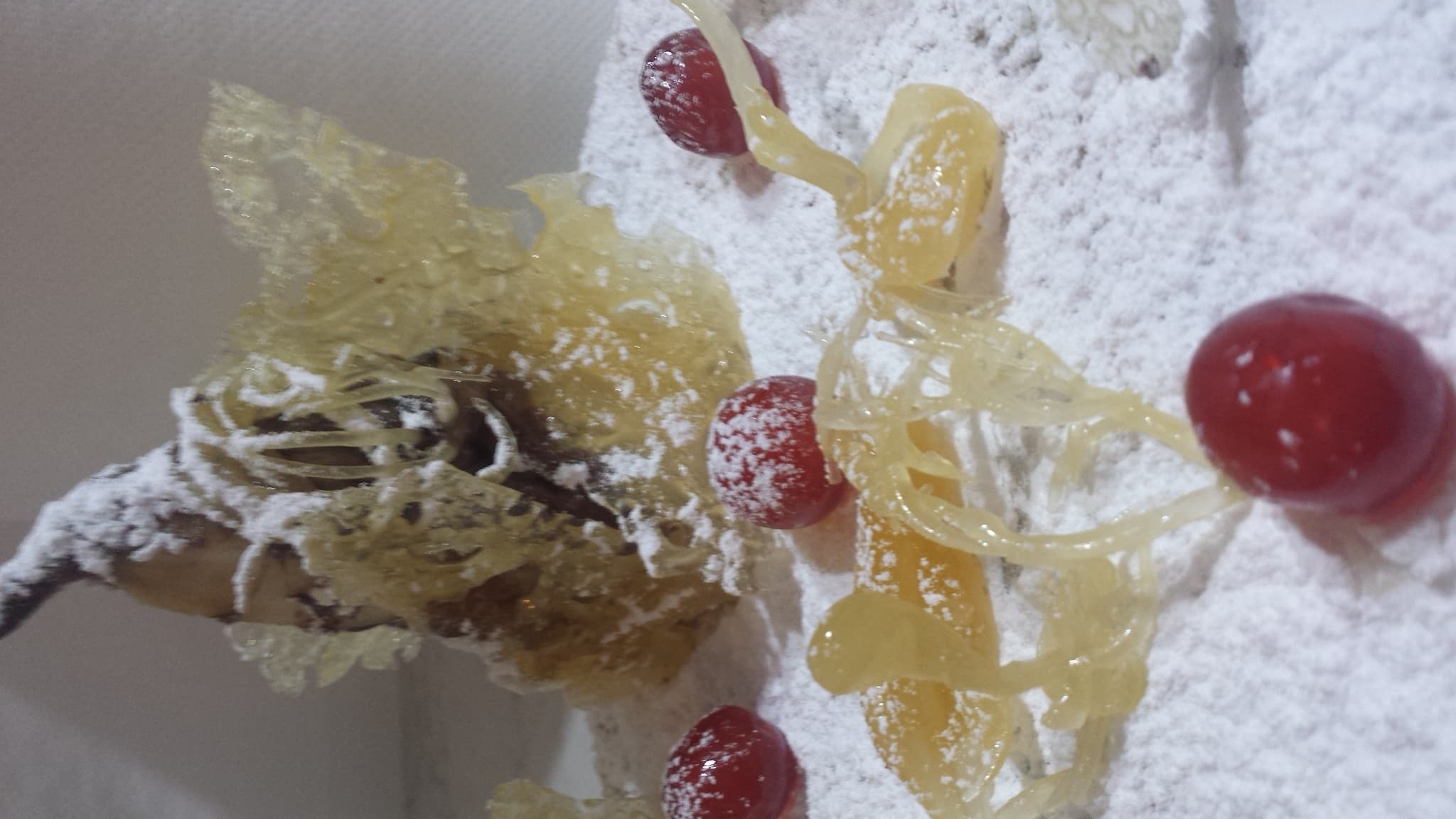 Torta Foresta Incantata