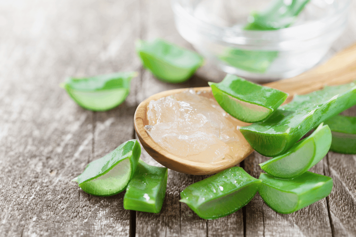 Aloe Vera Gel: 5 utilizzi