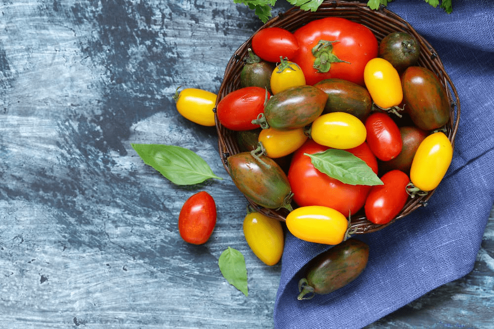 Togli i pomodori dal frigo!