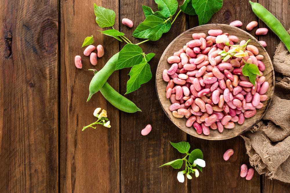 Facciamo pace con i legumi