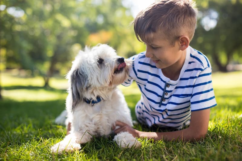 Cani e bambini: qualche consiglio