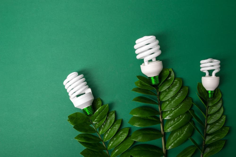 Energie rinnovabili per la tua casa