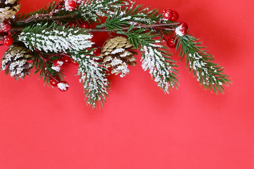 L'albero di Natale e altre curiosità