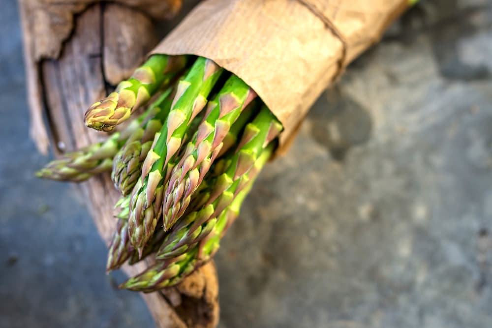 Tutto sugli asparagi