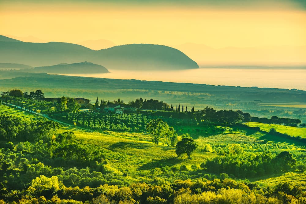 Il vino fatto con l’uva affinata in mare
