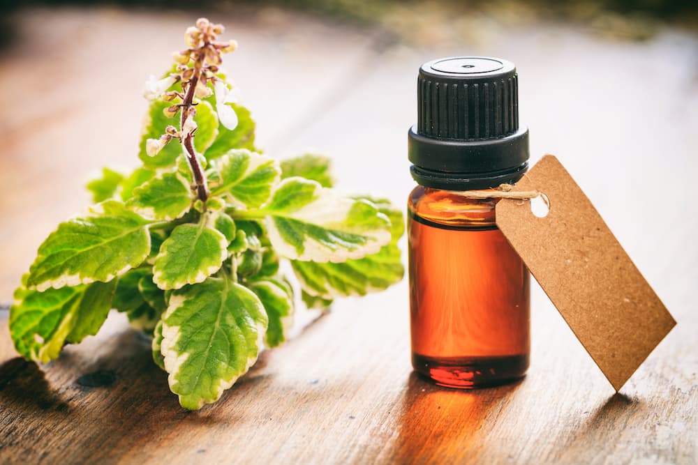 Tea Tree Oil: perché è speciale