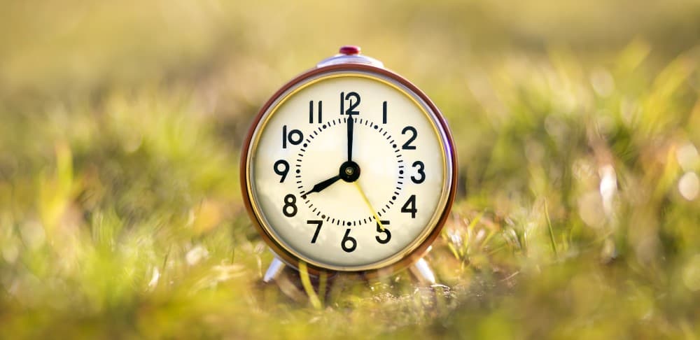 Svegliarsi dal letargo, che lavoro!