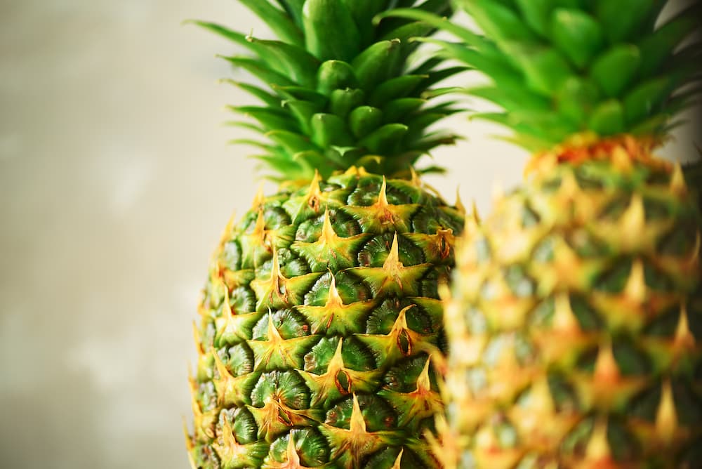 Coltivare l'ananas in vaso
