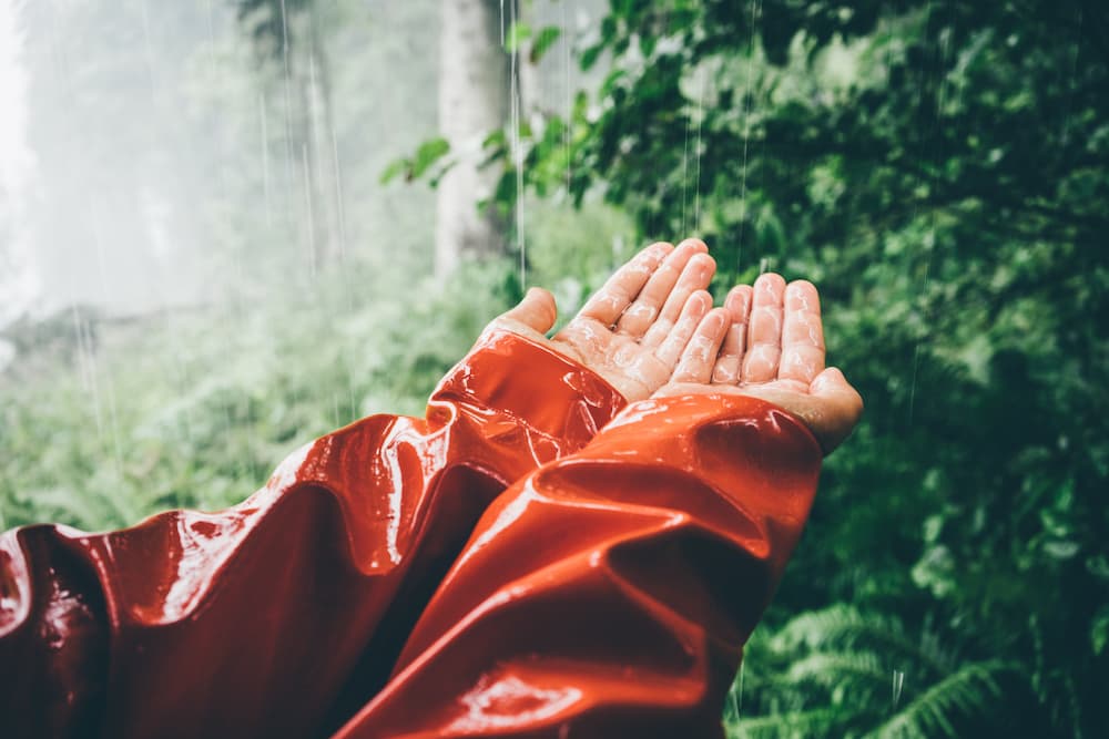Pioggia di birra o birra di pioggia?