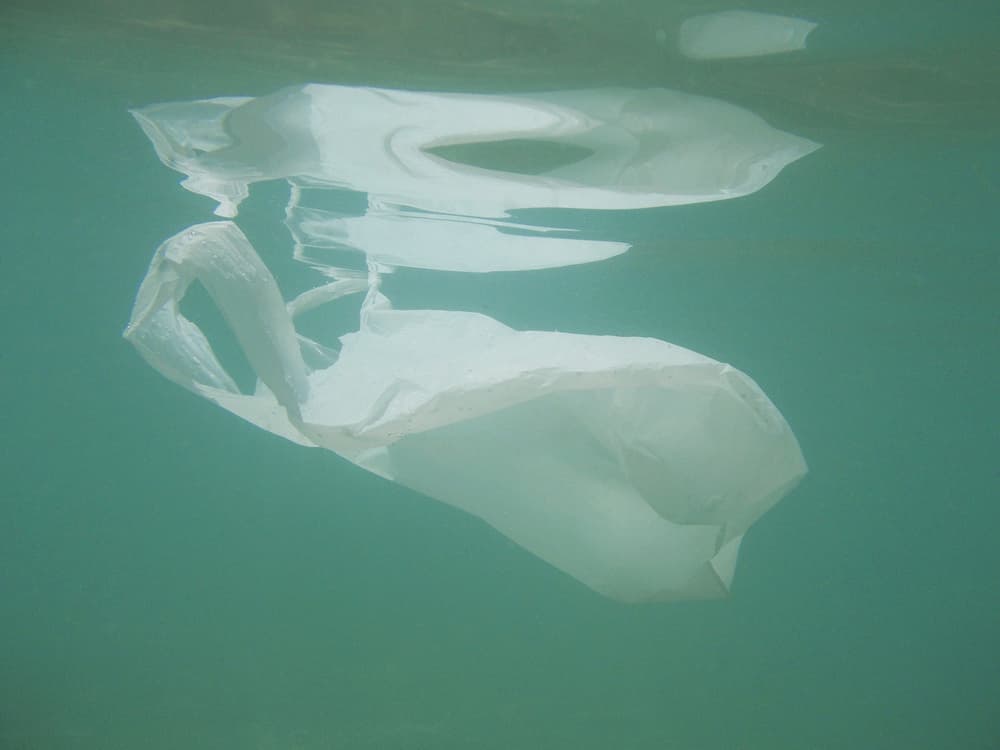 Salviamo l'Adriatico dalla plastica