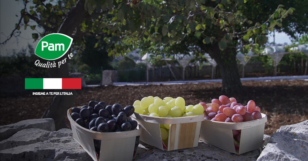 Uva e tempo: a ognuno il suo