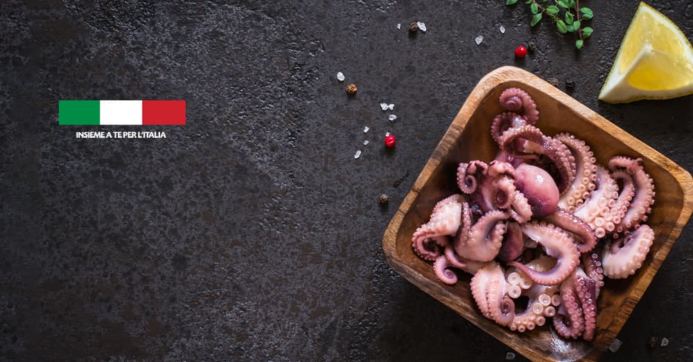 L'abc del moscardino