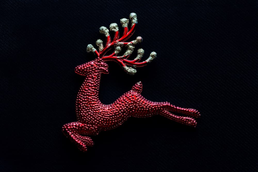 Le eroine del Natale 