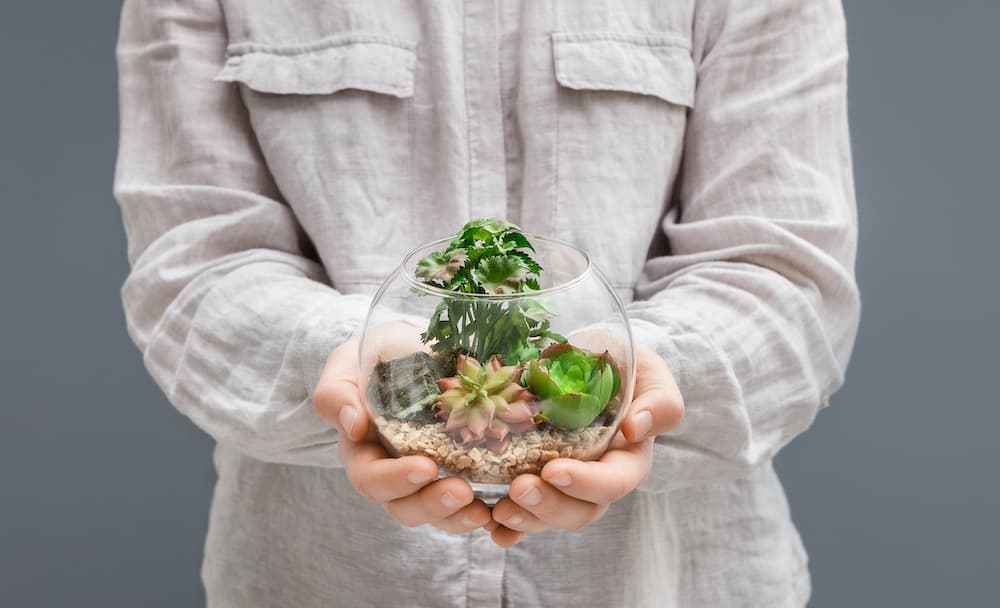 Un giardino in barattolo 