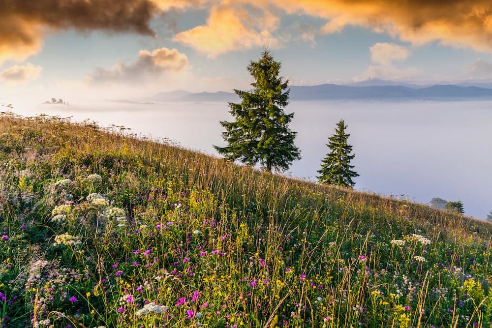 La montagna purificatrice 
