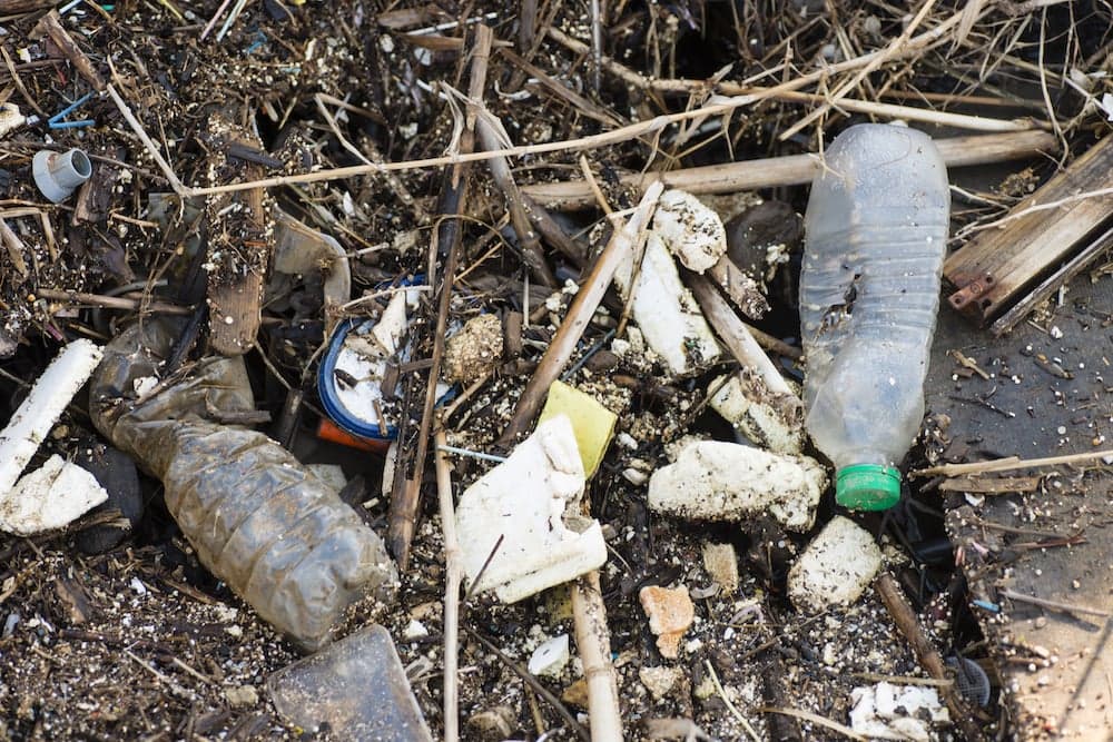 L'isola più brutta del mondo