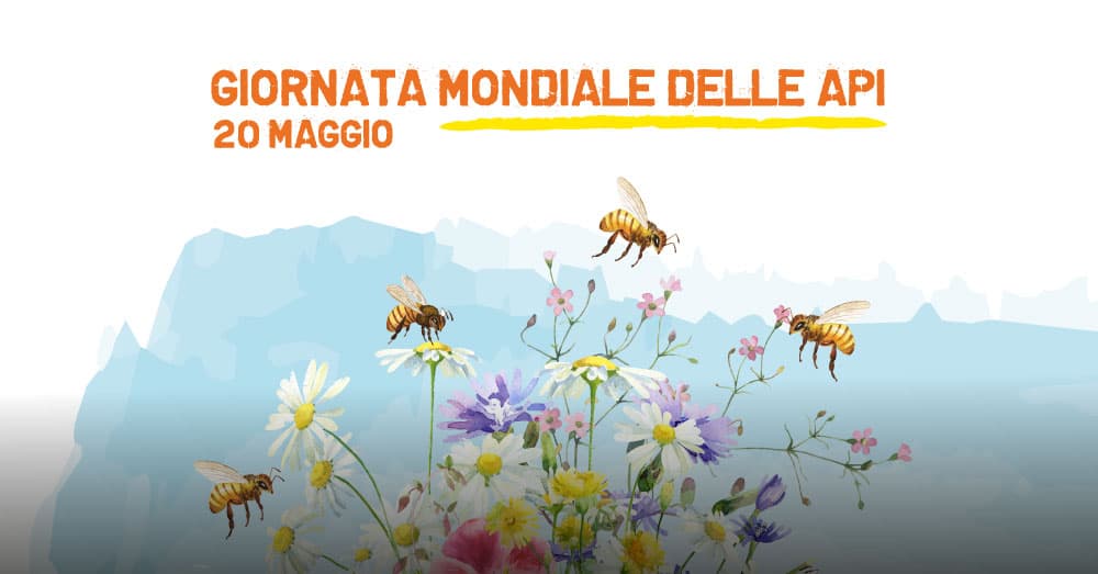 Insetti e biodiversità