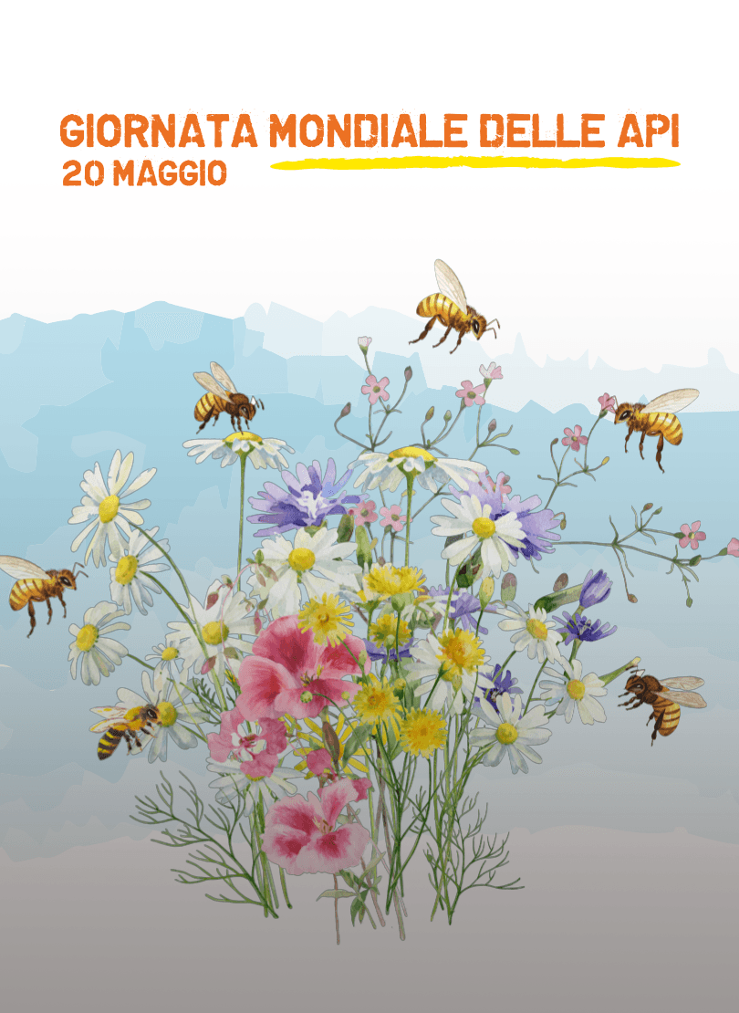 Collaboriamo per il bene delle api