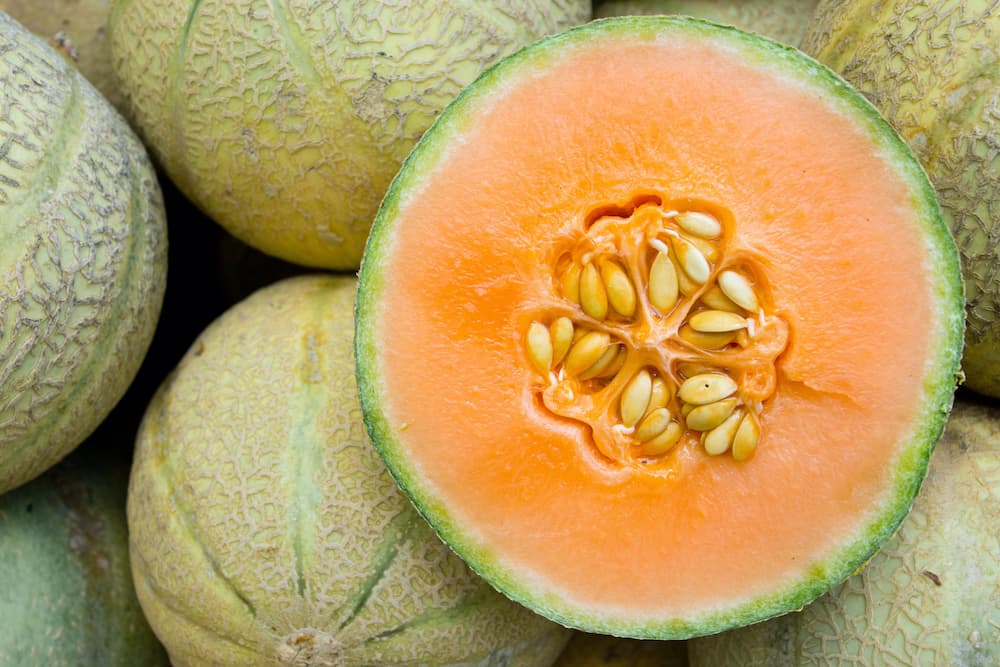 Il re dell'estate: il Melone