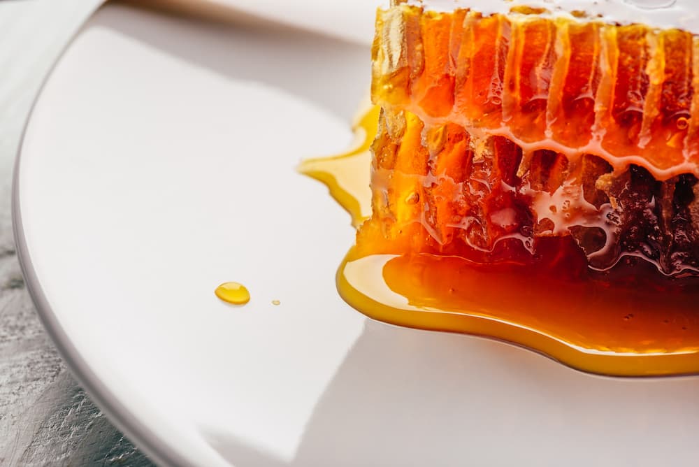 Il miele degli afidi