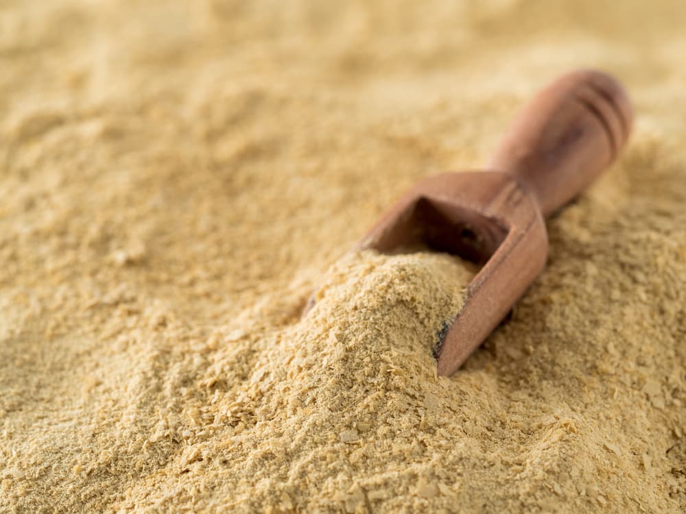 Selvaggio come il lievito