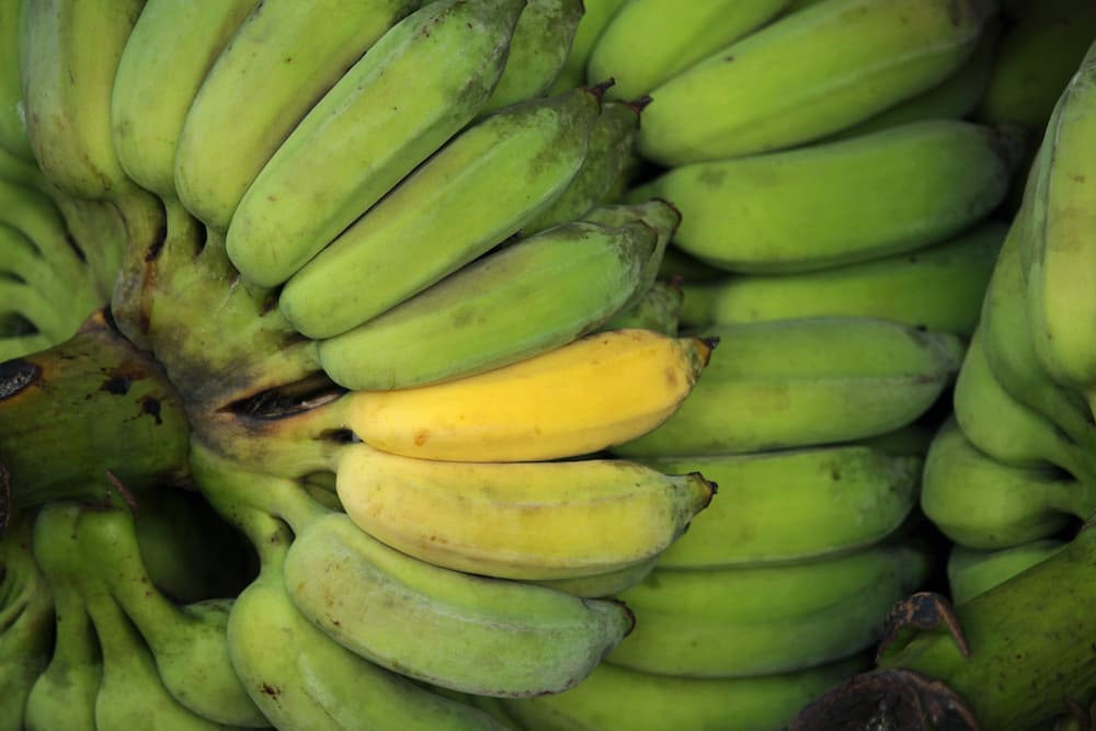 Non ci sono più le banane di una volta?