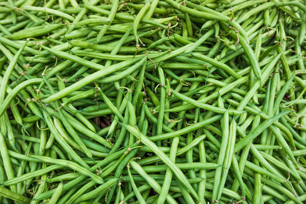 Di stagione: i fagiolini