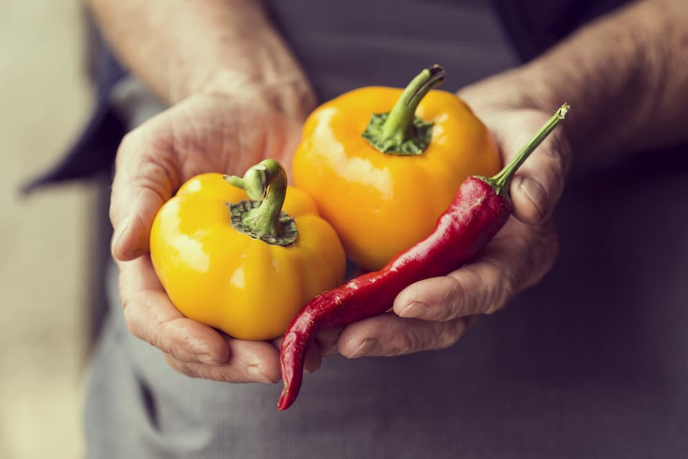 6 curiosità sui peperoni 