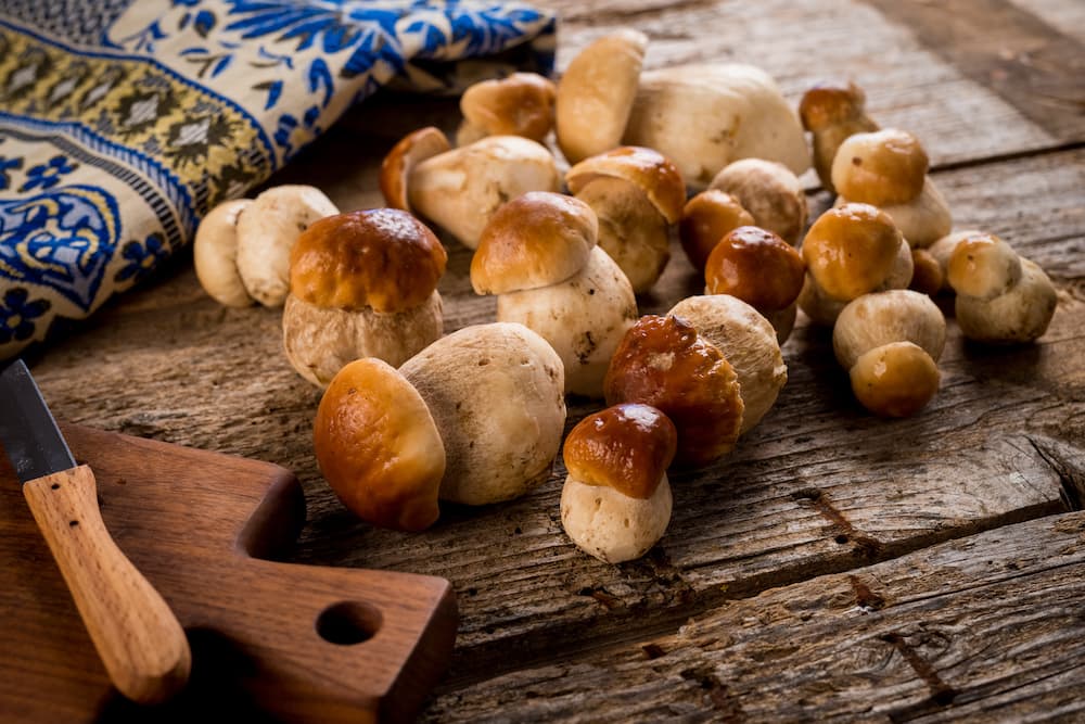 Ottobre: il mese dei funghi 