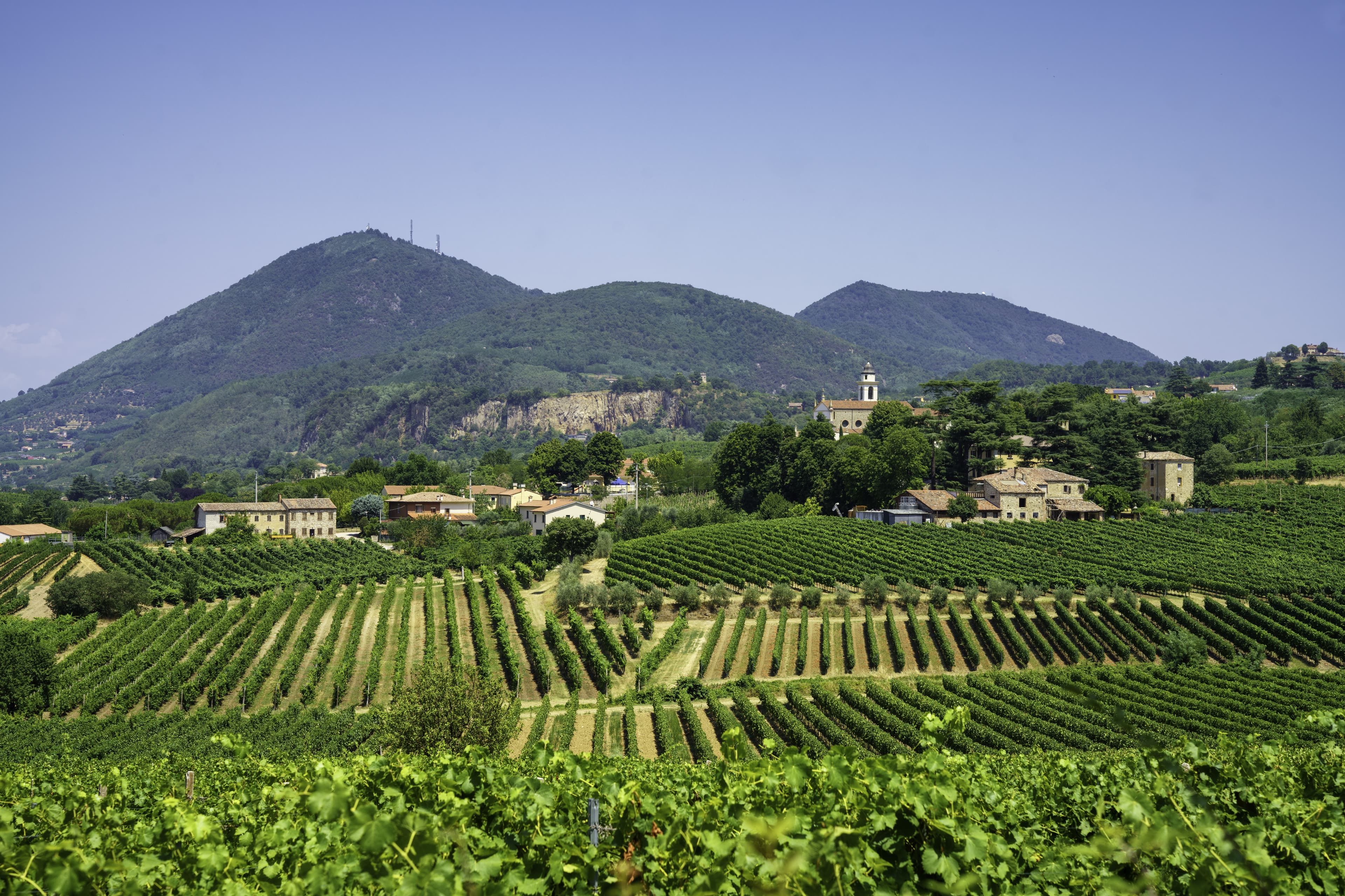 Arquà Petrarca, un gioiello sui Colli Euganei