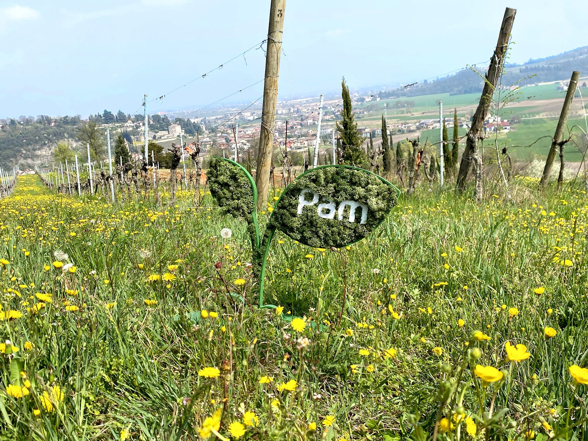 22 aprile: giornata mondiale della Terra