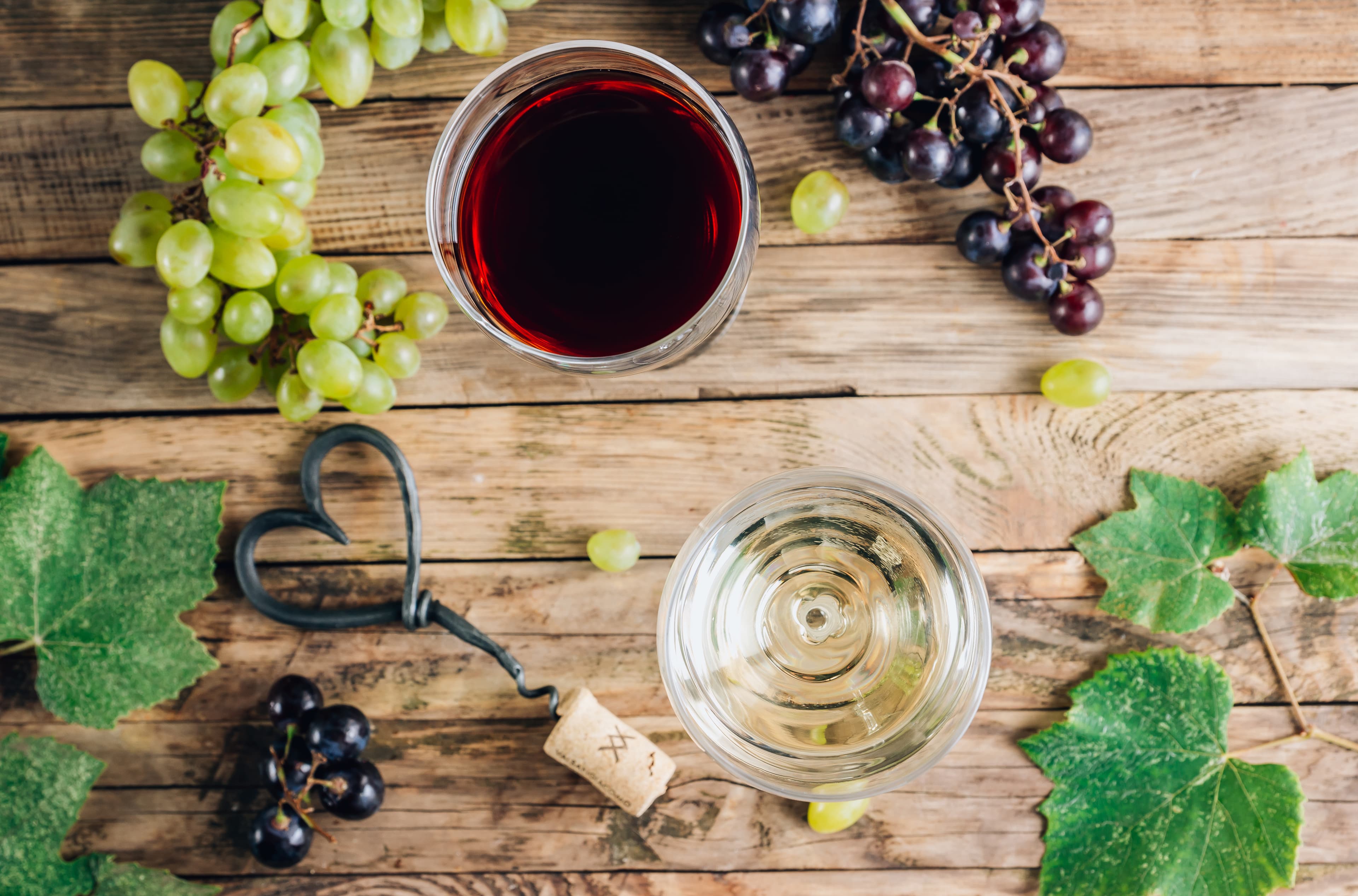 Vino bianco vs rosso: cosa ne determina il colore?