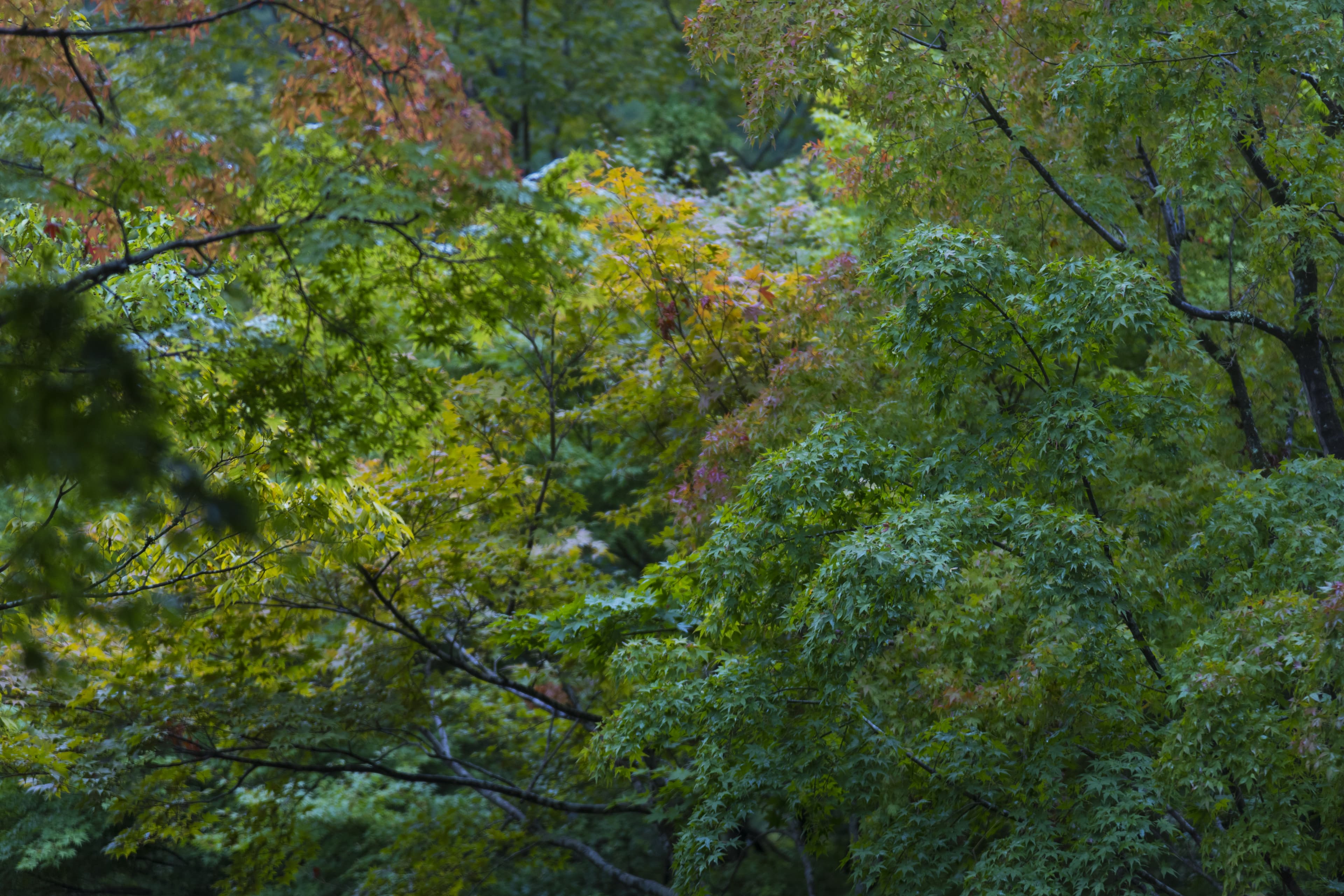 L'Importanza delle aree protette