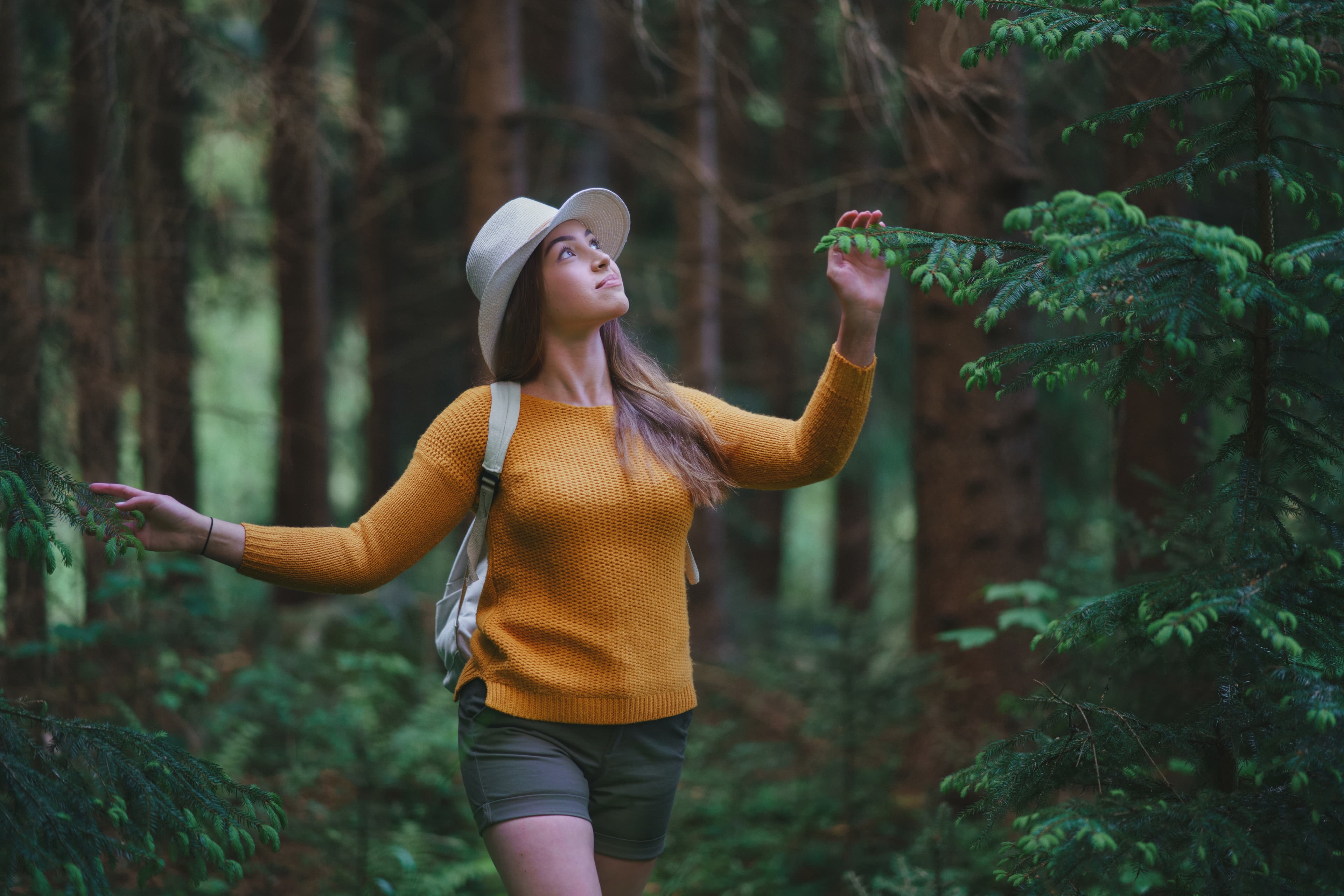 Scoprire il forest bathing  