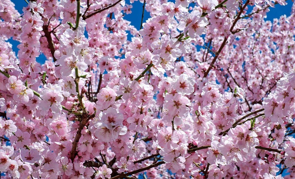 L’equinozio di primavera