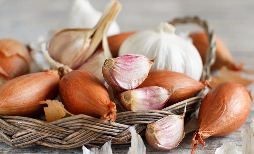 Aglio e cipolla: alla radice del soffritto