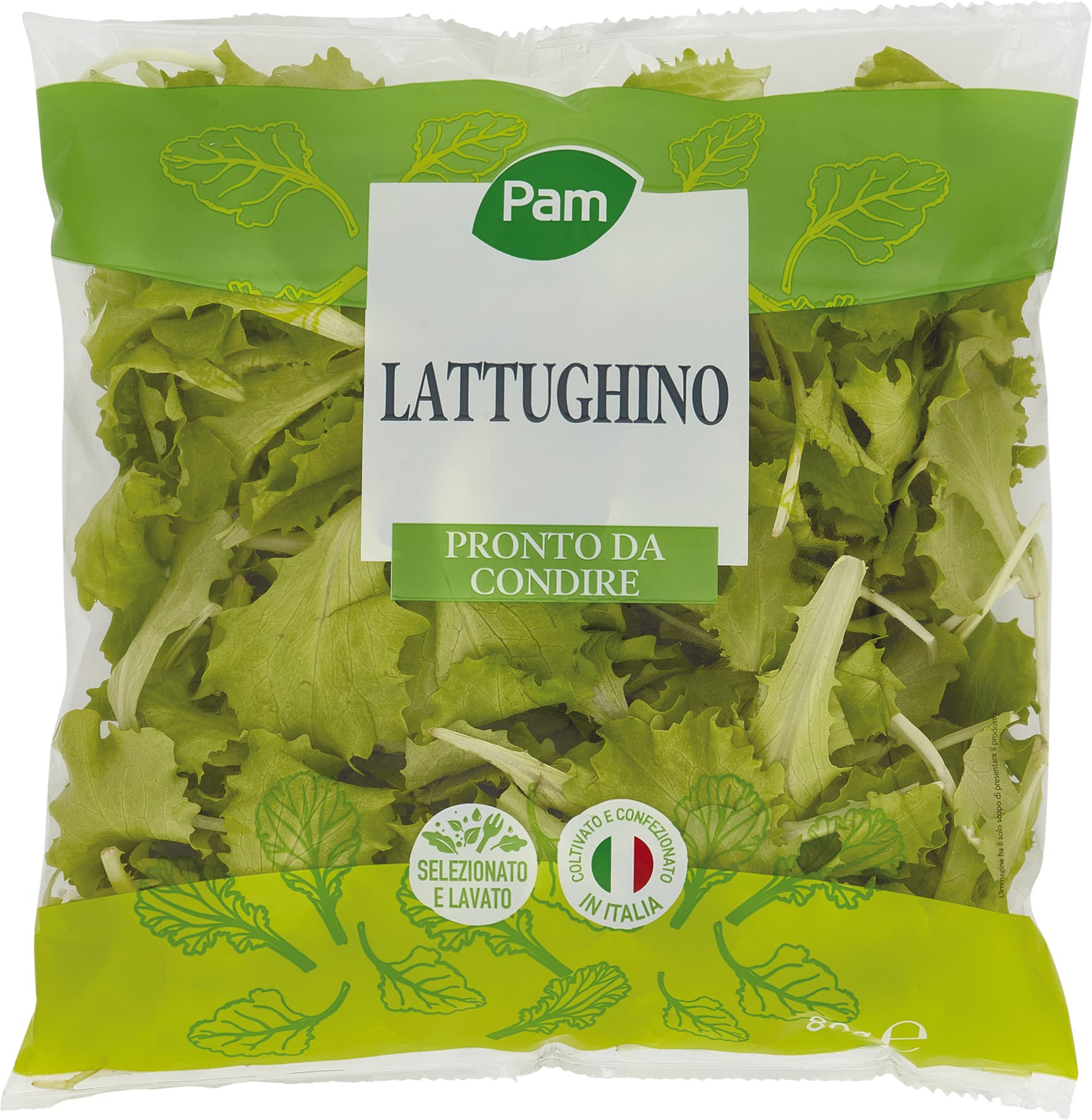 Lattughino Pam