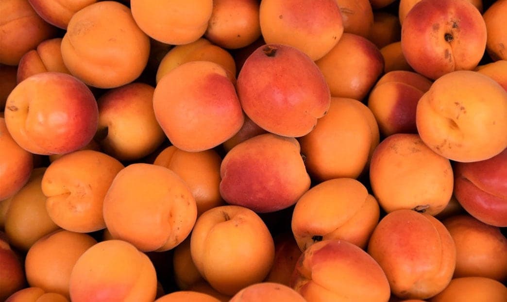 Albicocche: un concentrato di salute