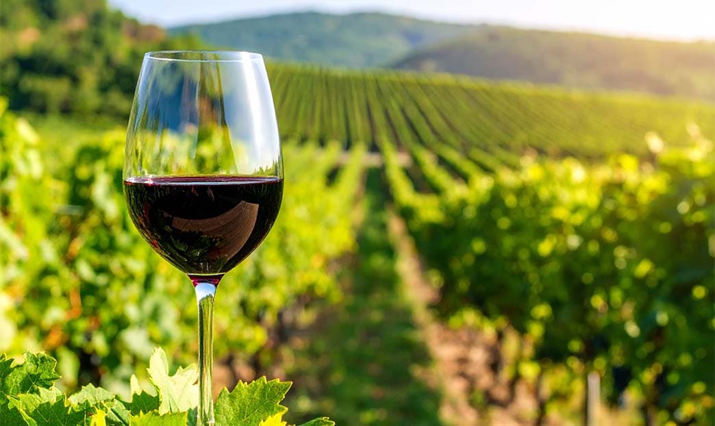 L'eleganza del Brunello di Montalcino