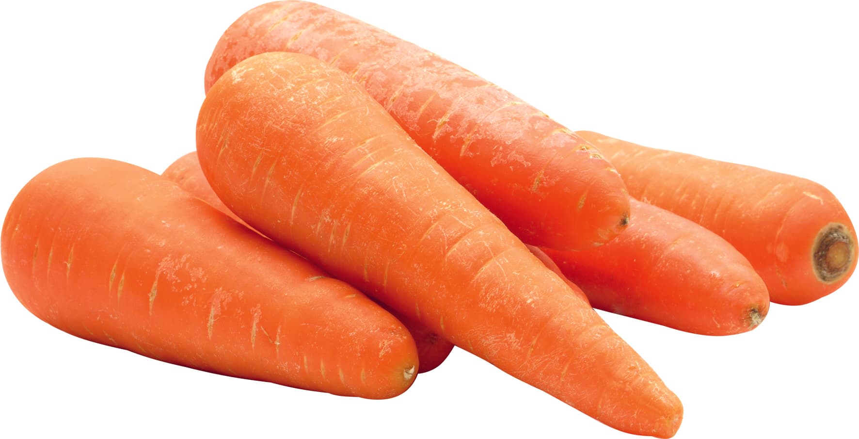 Carota Pam
