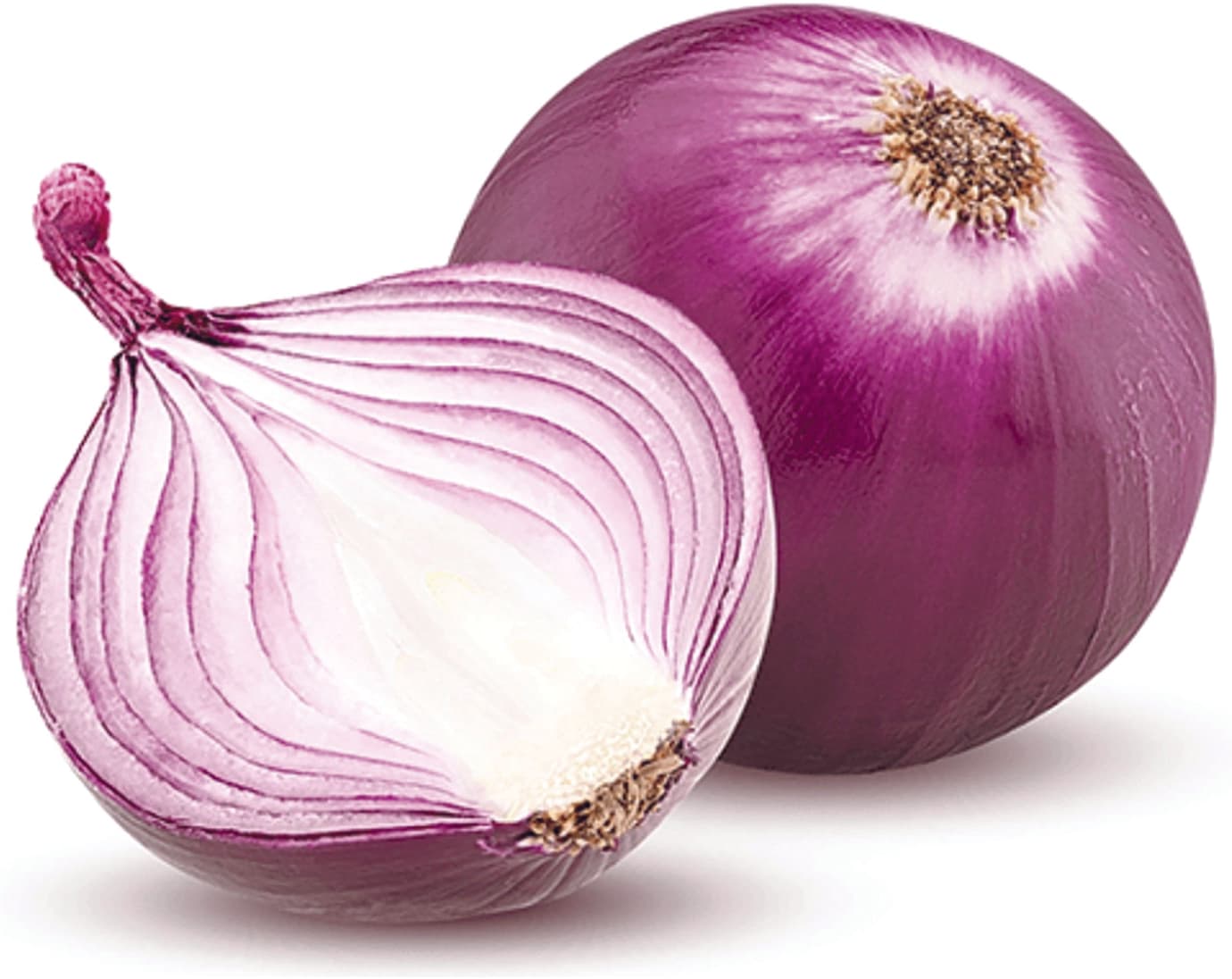 Cipolla rossa piccola Pam