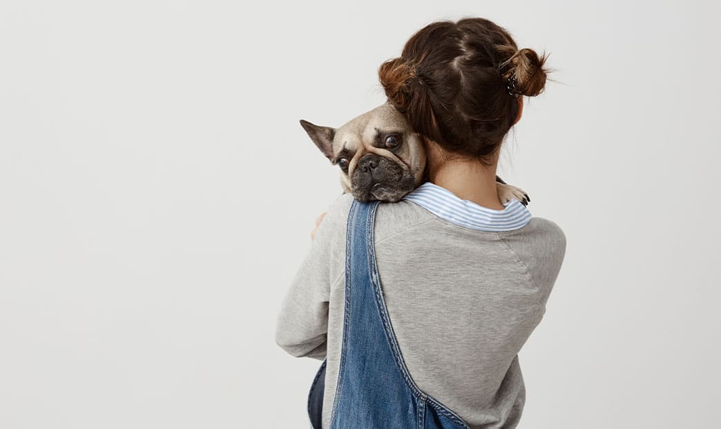 Come scegliere il pet sitter per le vacanze